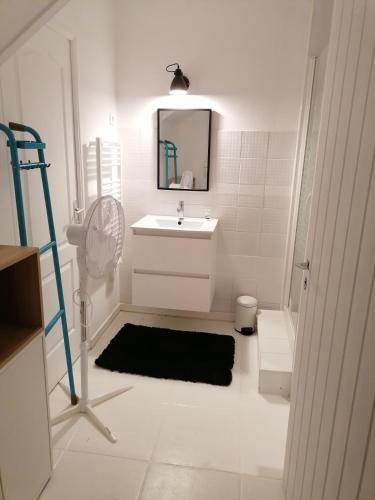 une salle de bain blanche avec un lavabo et un miroir dans l'établissement Studio cosy aux portes de Bordeaux et Saint Emilion, à Yvrac