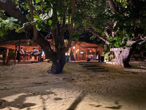 a tree on the beach in front of a restaurant at KALUME' Eco Boutique Resort-Adult only in Koh Kradan