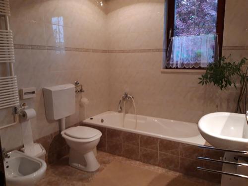 a bathroom with a toilet and a tub and a sink at APARTMA ANTON in Bled