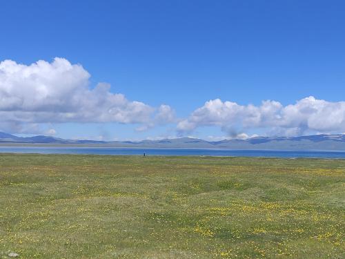 a field of grass with a person in the distance at Yurt Camp Ali-Nur, Lake Song-Kul , Kyrgyzstan, Юрточный лагерь Али Нур, на берегу озера Сон Кол in Naryn