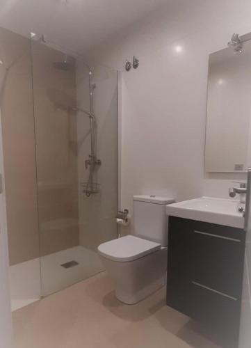 a bathroom with a toilet and a shower and a sink at Casa Baratura in Cangas del Narcea