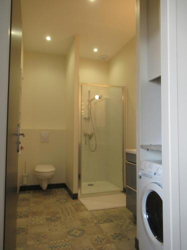 ein Badezimmer mit einer Dusche, einem WC und einer Waschmaschine in der Unterkunft Forges 5 in Saujon