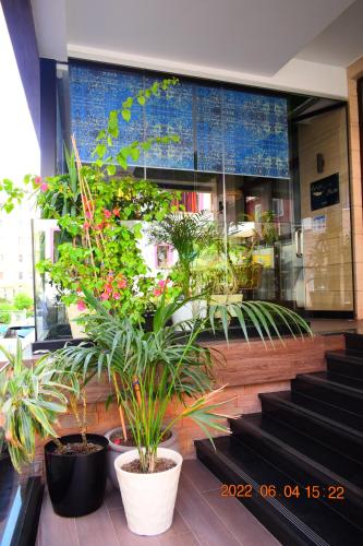 Gambar di galeri bagi Carpe Diem Apartments-Hotel di Shëngjin