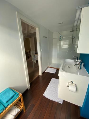 a bathroom with a sink and a toilet at Hasselt City Garden Duplex in Hasselt