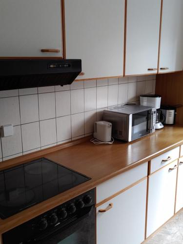 a kitchen with a counter top with a microwave at Haus an der Radau in Bad Harzburg