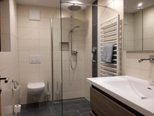 a bathroom with a shower and a toilet and a sink at Arlenheim in Sankt Anton am Arlberg