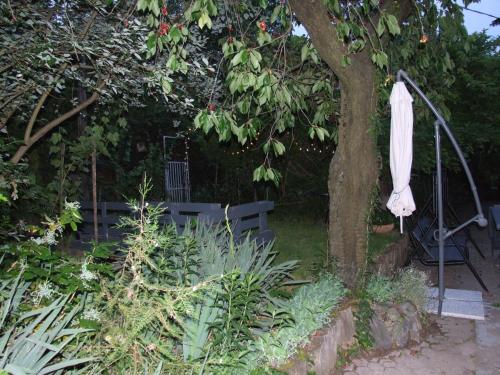 a tree with a white umbrella next to a bench at Simon Vendégház in Badacsonytördemic