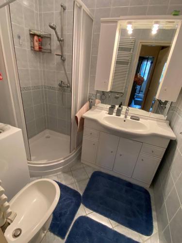 W łazience znajduje się umywalka, toaleta i prysznic. w obiekcie Buborék Apartman w Hajduszoboszlo