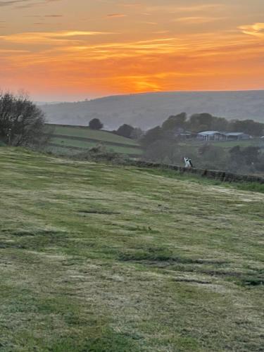 a horse walking in a field at sunset at Oakley View Shepherds Hut with hot tub in Whitby