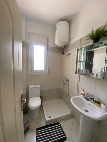 a bathroom with a white toilet and a sink at dimitris house 2 in Alepou