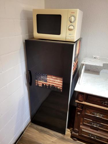 a microwave sitting on top of a black refrigerator at Charmante Waldrandidylle in Kreuzlingen