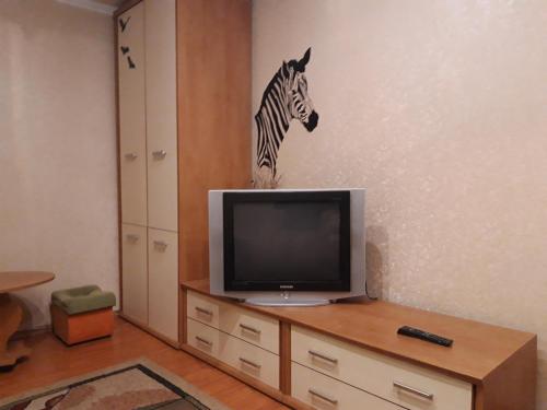 a living room with a tv and a zebra on the wall at пр. Александра Поля 100, центральная часть города in Dnipro