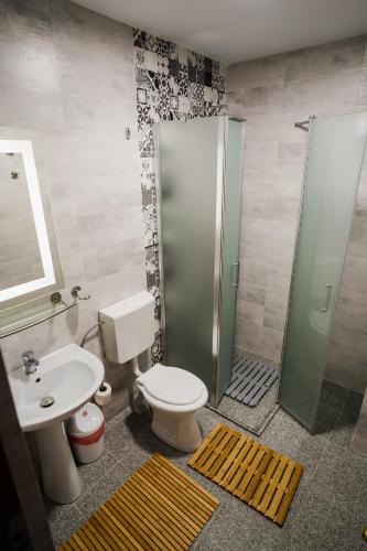 a bathroom with a toilet and a shower and a sink at Vila RANYA - Adults Only in Mangalia