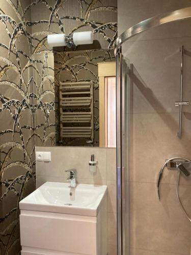a bathroom with a sink and a shower and a mirror at Willa Witkacy in Słupsk