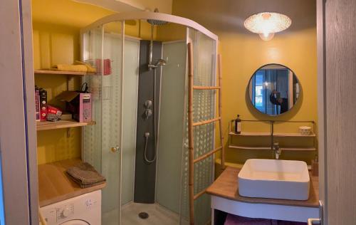 une salle de bain avec une douche, un lavabo et un miroir dans l'établissement La Ferme de Victor - Maison de village, à Coussegrey