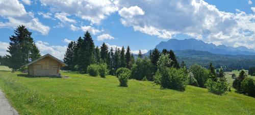 a small cabin in a field with trees and mountains at Haus Posaunenklang in Mittenwald