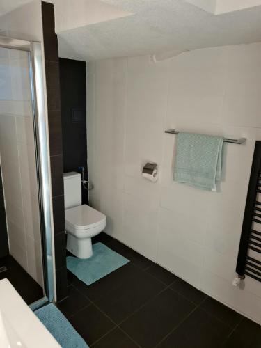 a bathroom with a white toilet and a shower at Apartmán pri Kalvárii in Banská Štiavnica