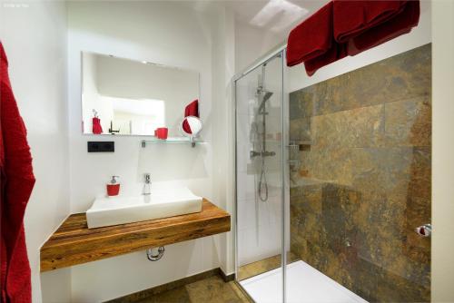 y baño con lavabo y ducha. en Apartment Melina, en Neukirchen am Großvenediger