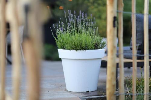 Gallery image of Kek huisje aan de Maas in Andel