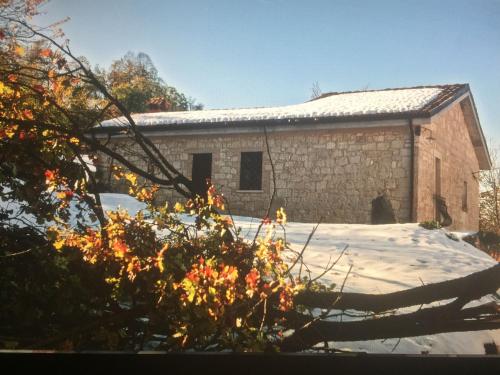 a building with a tree fallen on it at La pietra in Roccamorice