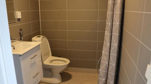 uma casa de banho com um WC, um lavatório e um chuveiro em Pistohiekka Resort em Puumala