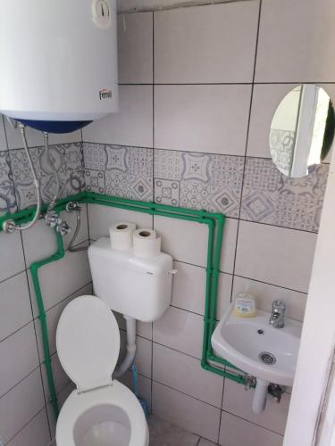 a small bathroom with a toilet and a sink at Apartman Milica in Golubić