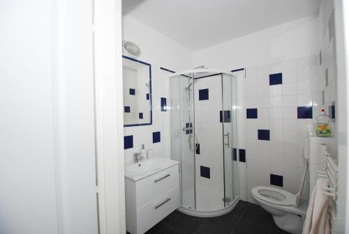 La salle de bains blanche est pourvue d'une douche et de toilettes. dans l'établissement Lipno - Hůrka, Marcela Appartements, à Horní Planá