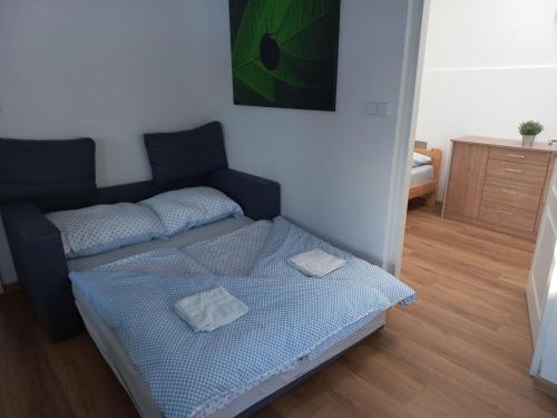 Cette petite chambre comprend un lit et un canapé. dans l'établissement Lipno - Hůrka, Marcela Appartements, à Horní Planá