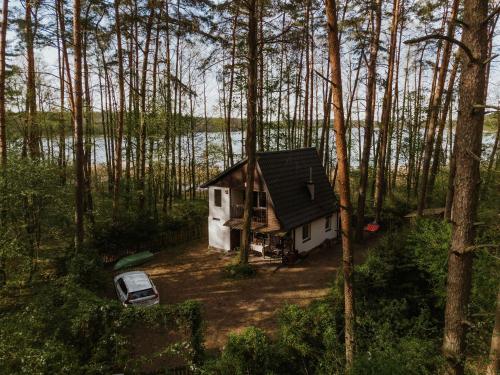 uma pequena casa no meio de uma floresta em Ulążki17 - dom na brzegu jeziora w sercu lasu em Szczytno