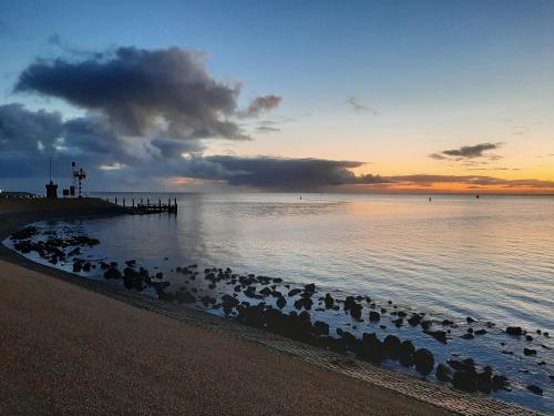 a flock of birds on the beach at sunset at Havenhotel At Sea Texel in Oudeschild
