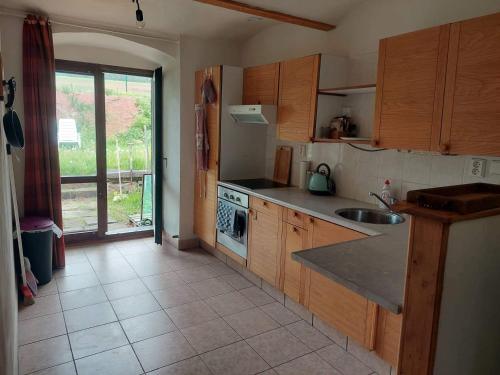 Kuchyňa alebo kuchynka v ubytovaní Apartmán U Kaštanu