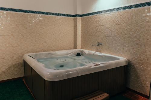 カリマネシュティ・カシウラタにあるHotel Bloomのギャラリーの写真