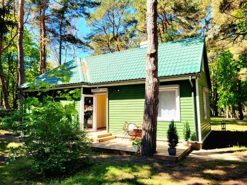 a green tiny house in the woods at G3 in Palanga