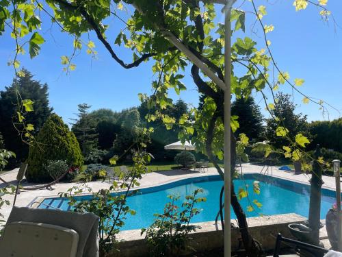 una piscina in un giardino con un albero di Silivri Gazitepe'de 3 katlı, havuzlu lüks villa a Silivri