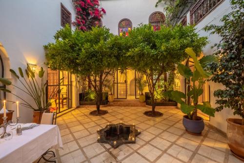 a courtyard with trees and plants in a building at Riad Alma in Marrakech