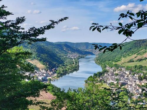 a view of a river with a town and a city at Ferienhaus Zum Prinzenkopf in Alf