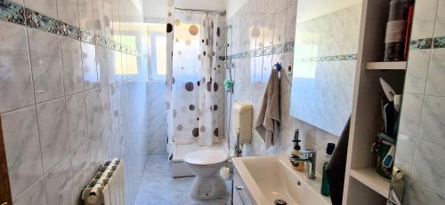 a bathroom with a toilet and a shower and a sink at Apartments Pinezić in Skrbčići