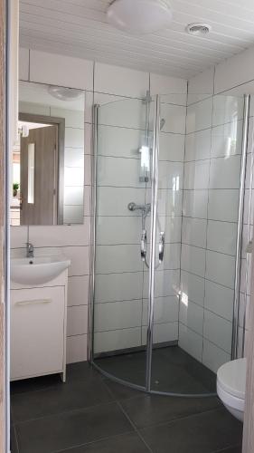 a bathroom with a shower and a sink and a toilet at AGA Domek na Kaszubach in Sławki