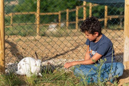 a young boy sitting on the ground next to a dog at Sorelle Biologiche in Monte Castello di Vibio