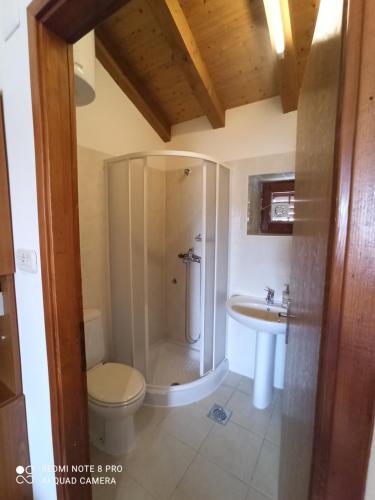 een badkamer met een douche, een toilet en een wastafel bij Apartmani Passer in Prvić Luka