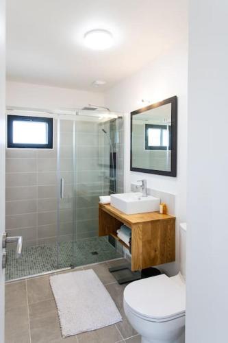 une salle de bain avec toilettes, lavabo et douche dans l'établissement Villa Blanche, Contemporary, Cathars, Couiza, Carcassonne, à Couiza