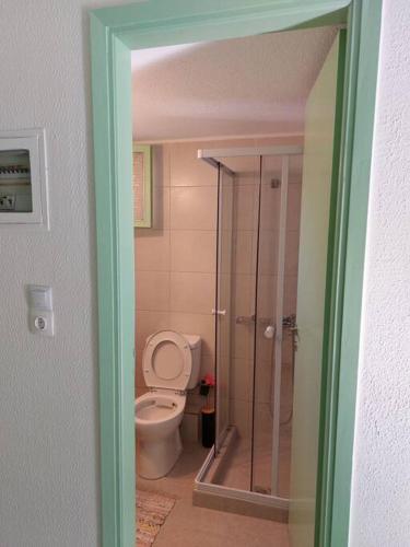 a bathroom with a toilet and a walk in shower at Vιtamin Sea apartment 8, Απολαυστική διαμονή στον Αλμυροπόταμο! in Almiropótamos