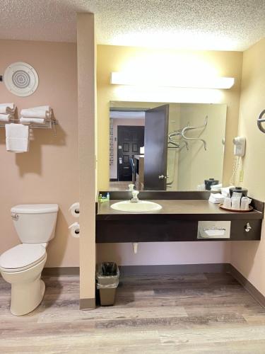 a bathroom with a toilet and a sink and a mirror at Viking Arms Inn - Ludington in Ludington