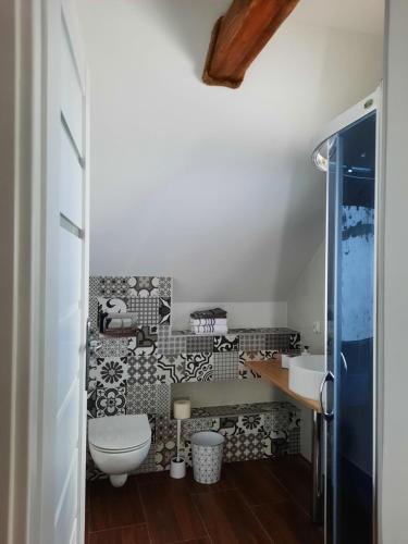 a bathroom with a toilet and a sink at Apartament na górce in Uherce Mineralne