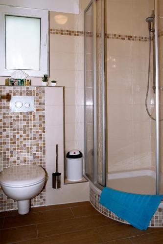 a bathroom with a shower and a toilet and a sink at Adams Schwedenhaus in Dechow