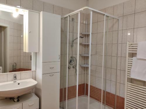 a bathroom with a shower and a sink at Bodzafa Apartman in Alsópáhok