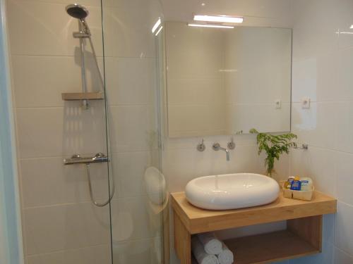 a bathroom with a sink and a shower with a mirror at Relais de la Diligence in La Roche-en-Brenil