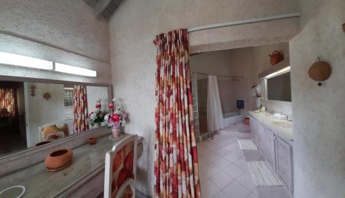 a bathroom with a shower and a sink and a mirror at Sea Symphony Villa in Saint Lucy