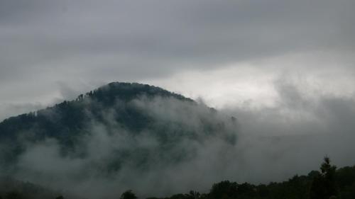 a mountain covered in fog and clouds next to trees at West Wood ApartHotel in Knyagynya