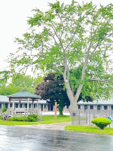 a tree in front of a building with a gazebo at Viking Arms Inn - Ludington in Ludington